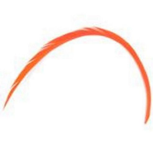 Image of Feather Biots Orange 6 Pk