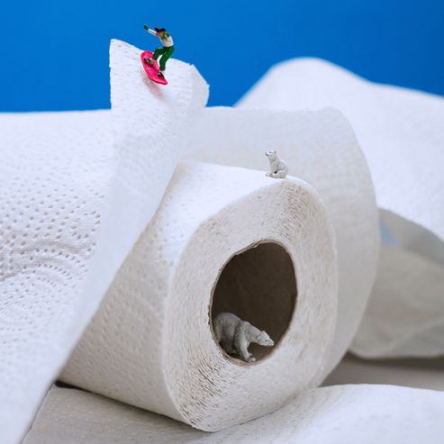 Image of Holy Mackerel Skateboarding, On A Roll. Kitchen Roll Greetings Card