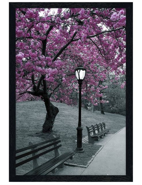 Image of New York City Black Wooden Framed Blossom In Central Park Poster
