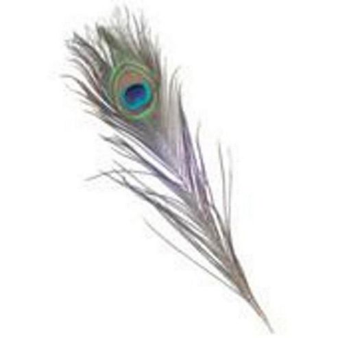 Image of Peacock Feathers 25-30cm 3 Pk