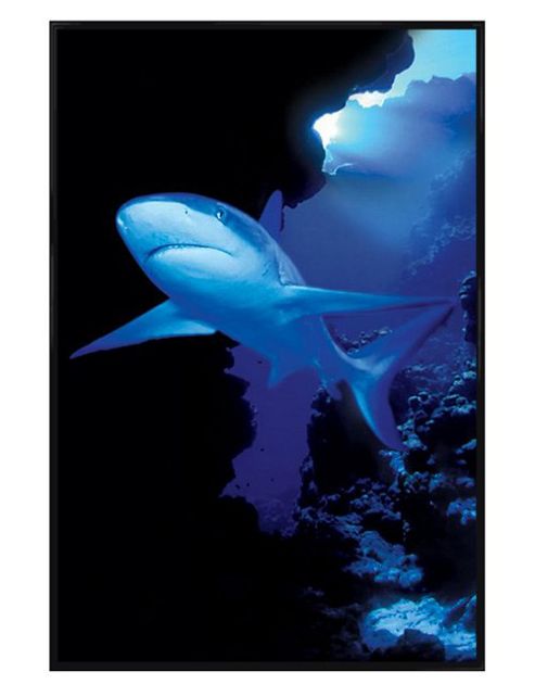Image of An Eerie Underwater Menace Gloss Black Framed Shark In The Deep Poster
