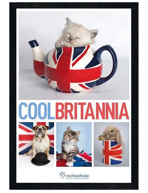 Image of Rachael Hale Black Wooden Framed Cool Britannia Poster