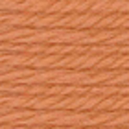 Image of Anchor Tapestry Wool 10mt 8326