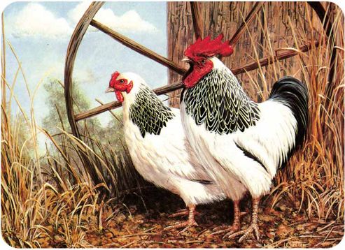 Image of Tuftop Worktop Saver, Sussex Chicken Design, 40cm X 30cm