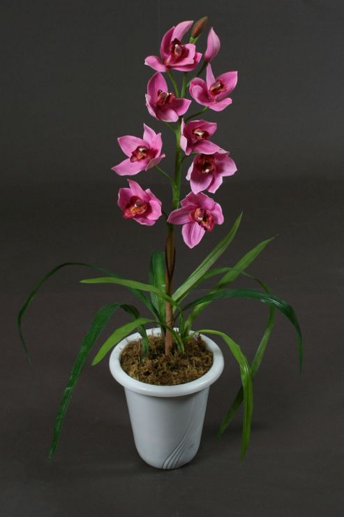 Image of Artificial 80cm Single Stem Pink Cymbidium Orchid