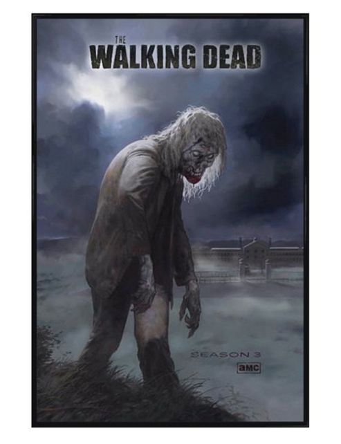 Image of The Walking Dead Gloss Black Framed Flesh Eating Walker! Poster