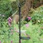Deluxe bird feeding station kit