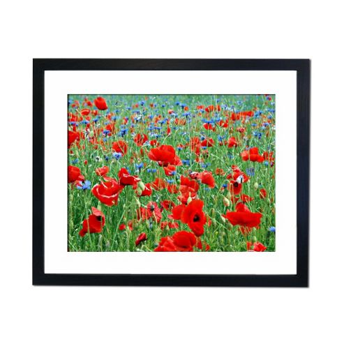 Image of Culture Decor Red And Blue Wall Art