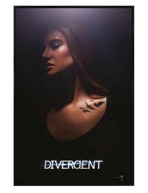 Image of Gloss Black Framed Divergent Tris Poster