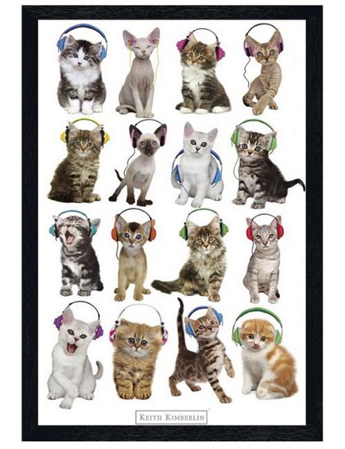 Image of Keith Kimberlin Black Wooden Framed Cool Cats In Headphones Poster