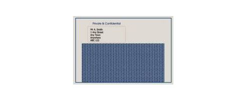 Image of Sage Compatible 1-part Ss Laser Pay Advice Mailer Pack Of 500 Se100
