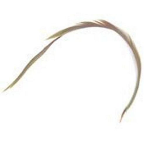 Image of Feather Biots Mint Green 6 Pk