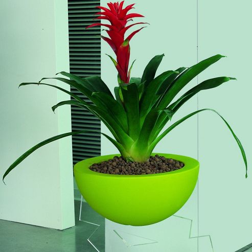 Image of Emporium Positive Design Eebavoglio Flower Tray - Green