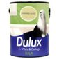 Dulux Silk Crushed Aloe 2.5L