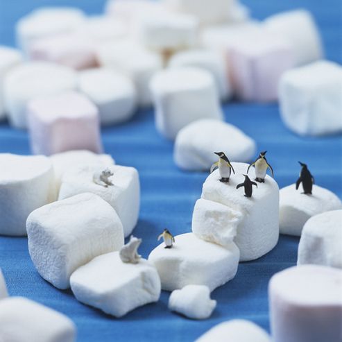 Image of Holy Mackerel Nicebergs. Penguins On Ice Bergs Greetings Card