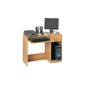 Altruna Bellport Computer Desk in Beech Veneer