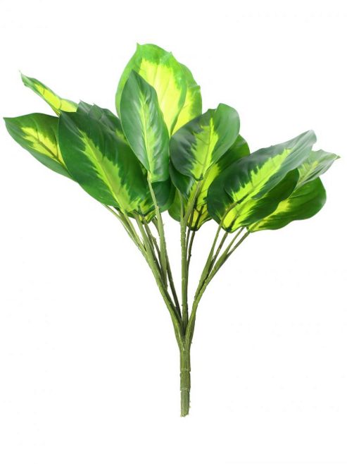 Image of Artificial 35cm Dieffenbachia Plug Plant