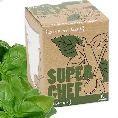 Image of Grow Your Own Herbs - Basil