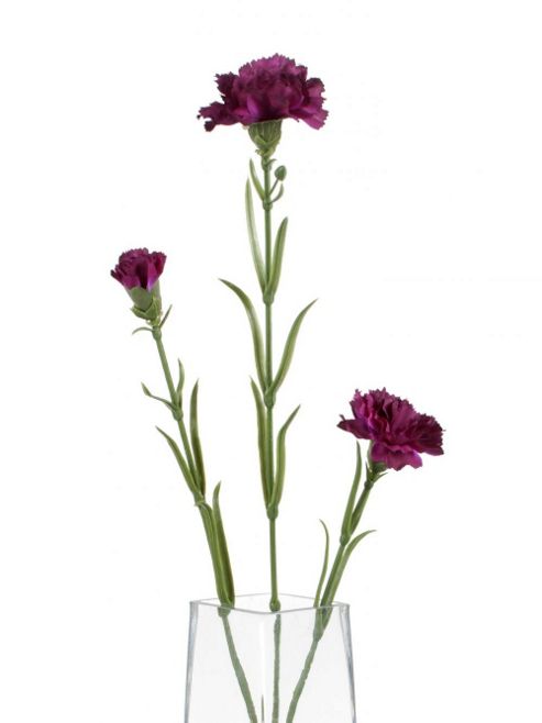 Image of Artificial 70cm Single Stem Multi Headed Purple Carnation