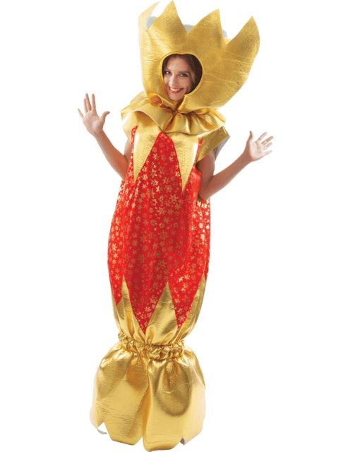 Image of Christmas Cracker Costume