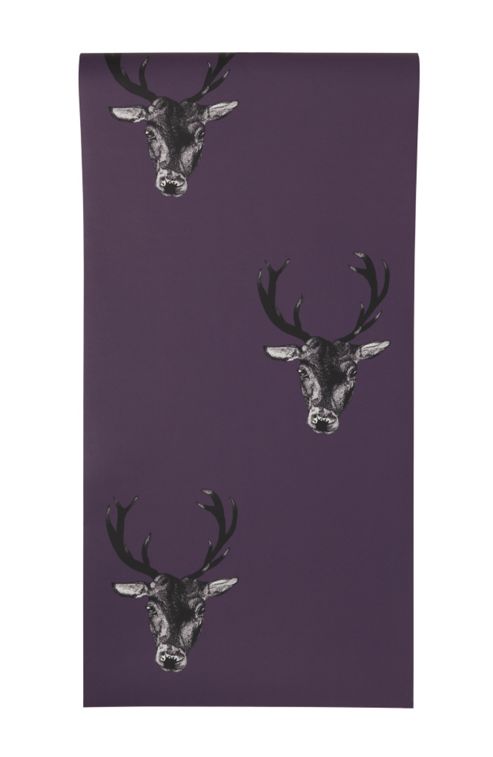 Image of Graduate Collection Wallpaper - Plum