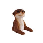 Tom Chambers Res084 Meercat In Hole