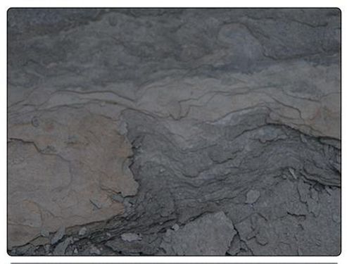 Image of Pimpernel Midnight Slate Design Placemats Set Of 6