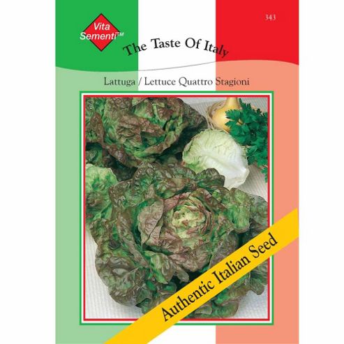Image of Lettuce 'quattro Stagioni' (butterhead) - Vita Sementi&reg; Italian Seeds - 1 Packet (6400 Lettuce Seeds)