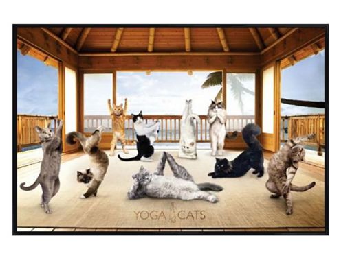 Image of Yoga Cats Gloss Black Framed Feline Enlightenment Poster