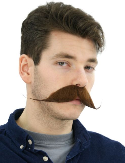 Image of Brown Aristocrat Moustache