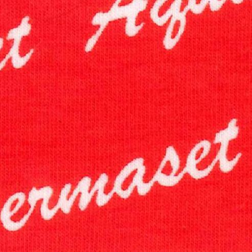 Image of Permaset Aqua 300ml Scarlet