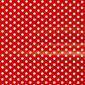 Gift Wrap - Red Spots