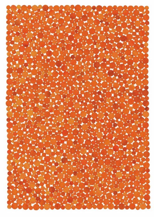 Image of Angelo Rodeo Orange Skin Rug - 240cm X 170cm (7 Ft 10.5 In X 5 Ft 7 In)