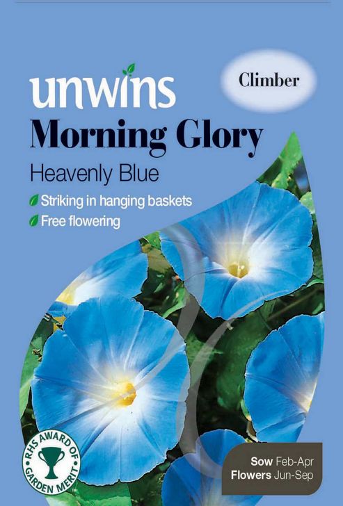 Image of Morning Glory Heavenly Blue