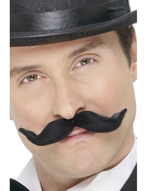 Image of Moustache - Adaptable