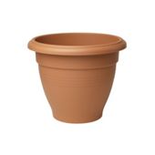 Stewart 2012034 Palladian Plant. Terra 30X24.5