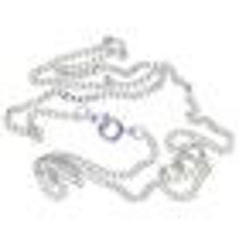 Image of Necklet Chain W/t/p 450mm