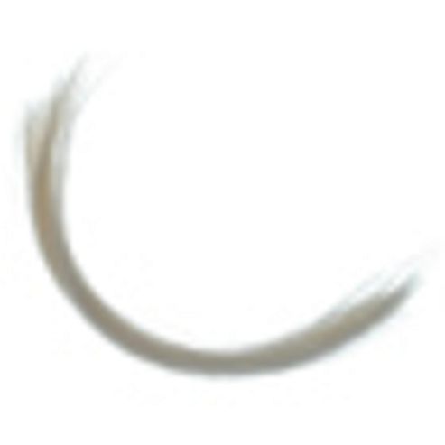 Image of Pd Whiskers - White
