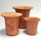 Flared rim terracotta pot