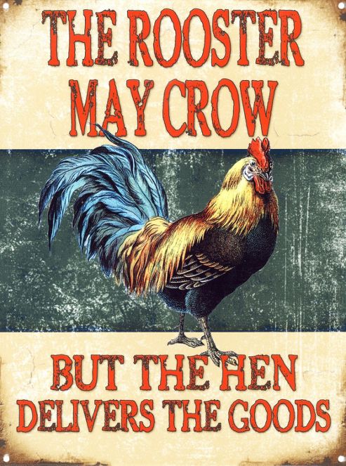 Image of But The Hen Delivers The Goods The Rooster May Crow Tin Sign