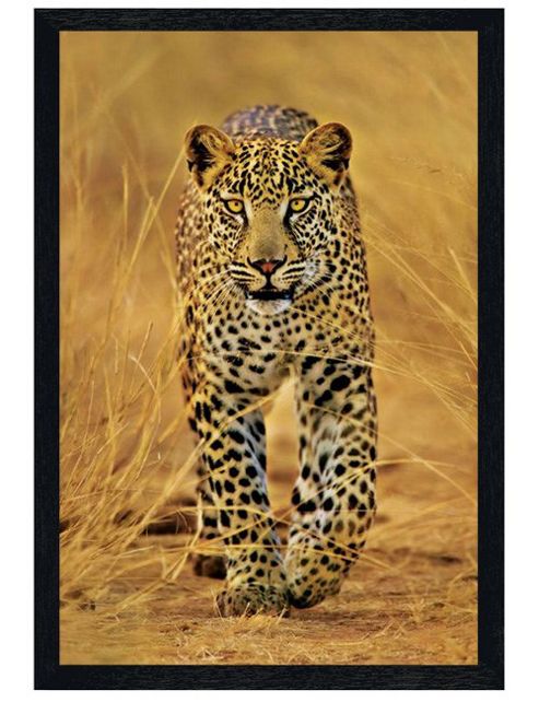 Image of Black Wooden Framed Cheetah Poster