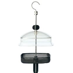 Mealworm feeder