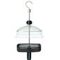 Mealworm feeder
