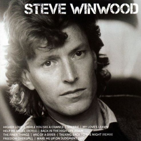 Image of Steve Winwood - Icon