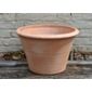 Lucca terracotta pot