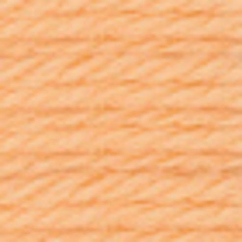 Image of Anchor Tapestry Wool 10mt 9552