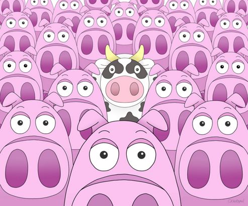 Image of Moove Over For Me Canvas Picture