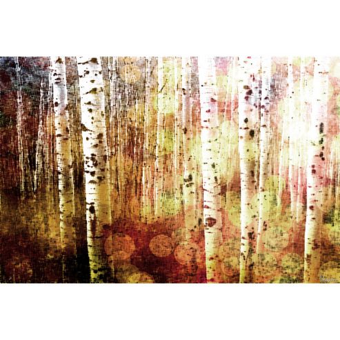 Image of Parvez Taj Aspen Wall Art - 76 Cm H X 114 Cm W X 5 Cm D
