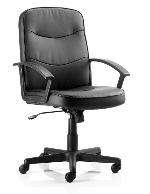 Image of Dynamic Harley Chair