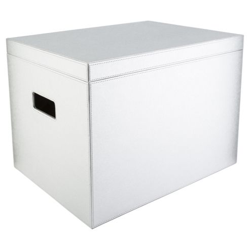 Image of Large Silver Storage Trunk With Handles